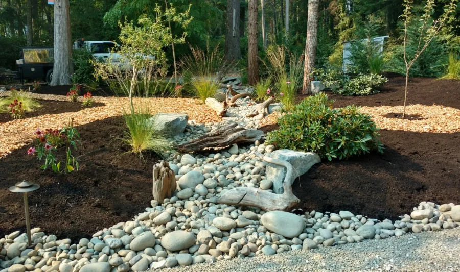 Photo Aug 02 2017, 4 23 04 PM