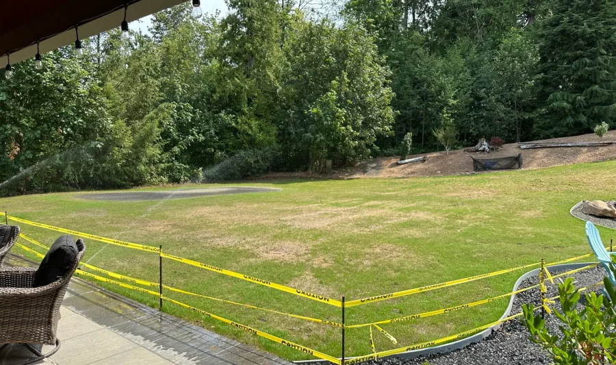 Photo Aug 09 2024, 1 25 54 PM