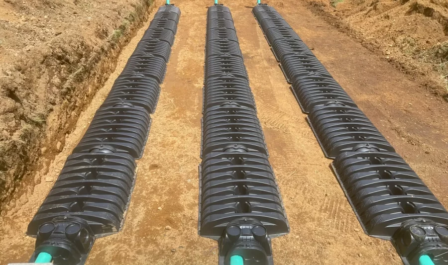 Photo Jun 07 2022, 12 02 06 PM